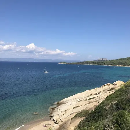 Apartment T2 : A 50m De La Plage, Proche Du Port, Jardinet Privatif, Ideal Familles - Fr-1-335-202 Hyeres